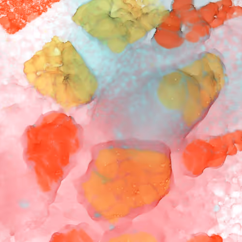 Item #29520418552145809798583464197808626937236403153754494126203225281378885042264 Media