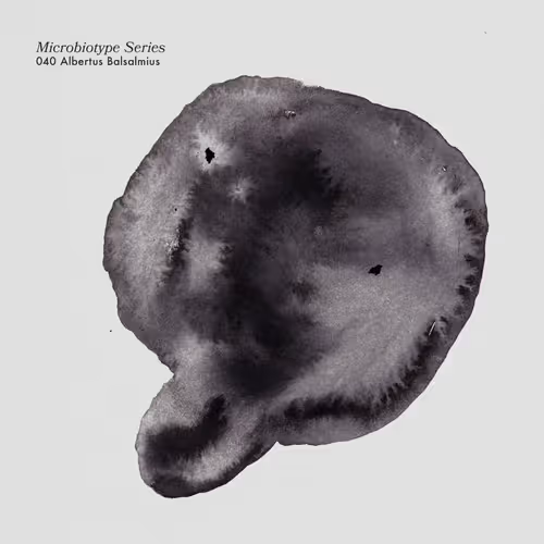 Item #20537471166803336483697920459392139182541277411208615206121837262486808559617 Media