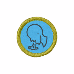 Crypto Scouts - Puking Merit Badge