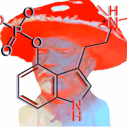 Psylocibenin formula