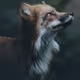 8307873304467945982855949832460578282170140542111129344617031136984692686849