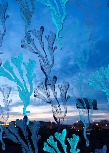 91754164606506966575596469571565985485613429950187136926502423084807202275329