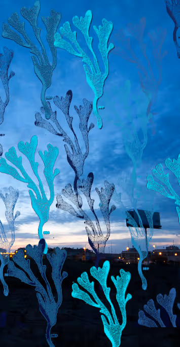 Item #91754164606506966575596469571565985485613429950187136926502423084807202275329 Media