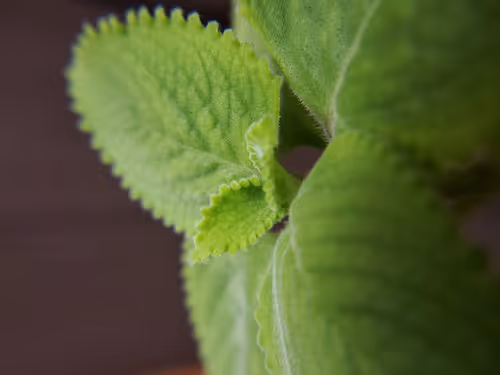 Item #76397996322871269923663397767549197527833354347581050584079304995311785607169 Media