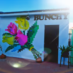 Bunchy Pixel MuralArt