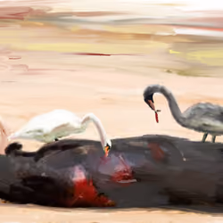 01- Black Swan