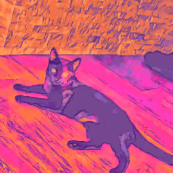 Pheebs Loungin 1 of 3