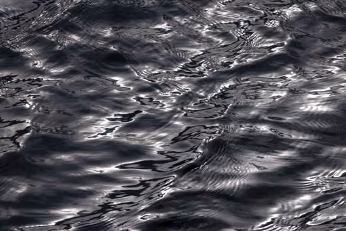 Item #81441334517361708208394031135700195474624799851237506988747108088743016267777 Media