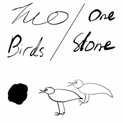 Two Birds- One stone