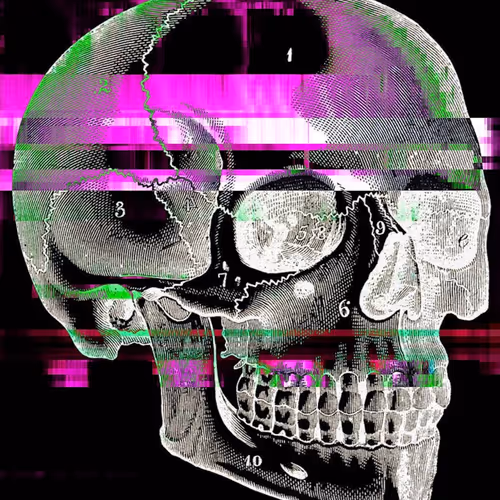 Skull #2