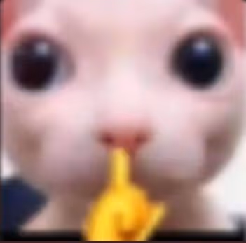 n3verbr0keag4in Collection - old