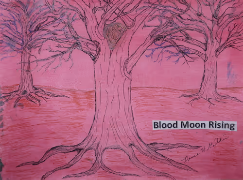 Item #115703338117477913088494101734618390154567674816237211843982883088815525724161 Media