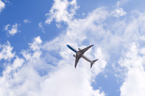 Item #99900617224639477299163599069671603724831420251868583715018934665184114900993 Media