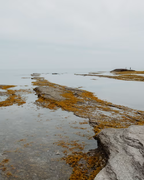 Item #84187683161901868737511018211766444110537923242733545241103394999666248515585 Media