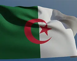 87643664044785855096786556632402752778338947584931065343684325183355097186305