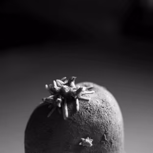 Item #106002847208740868609833758564864100377070191956822007780539651999051892654081 Media