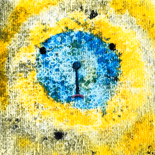 Item #72598989545364804753631635469609189498483588547869246243602096939469411188737 Media