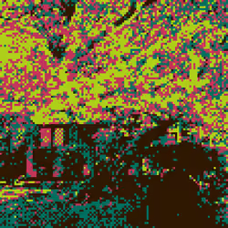 in bloom