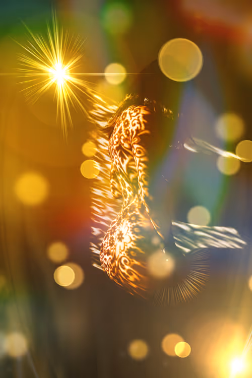 Item #40498021365110625873163859620955492987361950717153146364459205443045862408193 Media