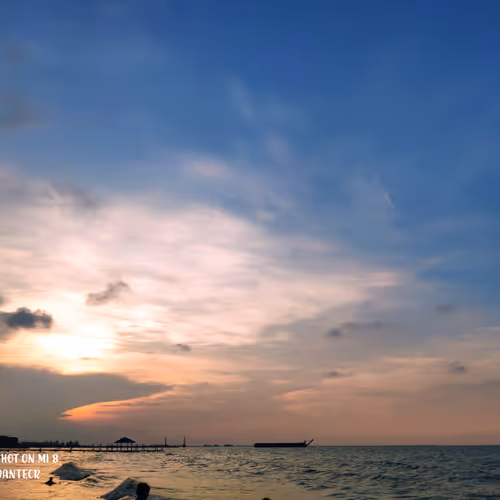 Untitled Collection #393951283