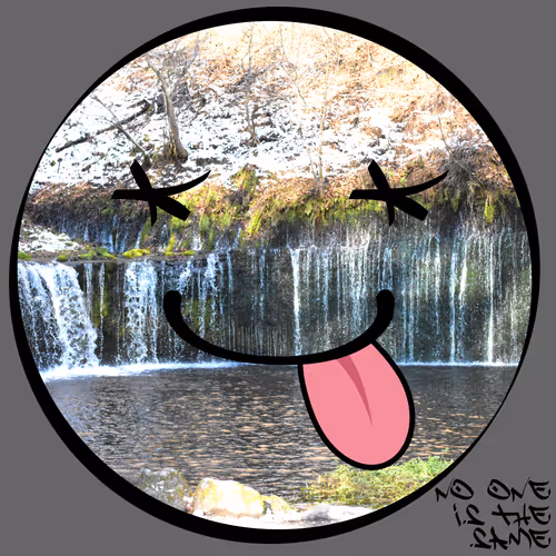 Item #51873618375732866653834179613561209928070521070490563868616644556641628323841 Media