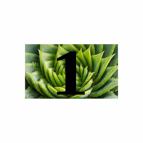 Fibonacci Crypto (001) (First Five Numbers)