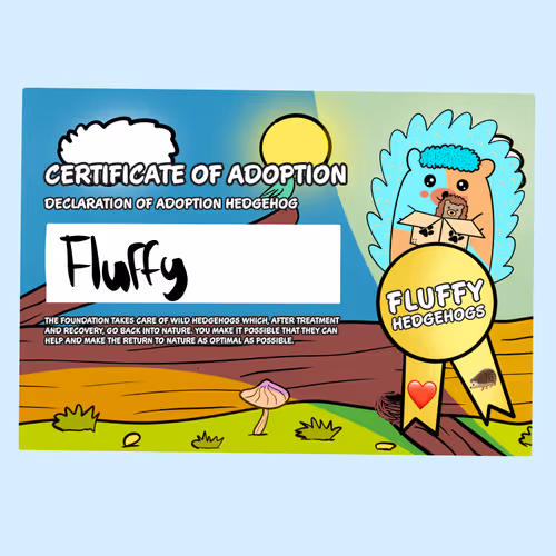 Fluffy Adoptions