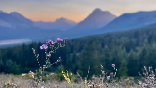 Item #68569921609983084806260736948600394940092661031178232283122914064707352526849 Media