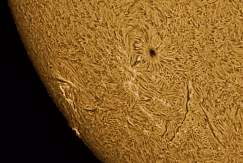 Item #97012587499429790410891449160678480242107377463649634715950859432917704114177 Media