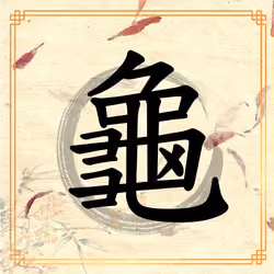 Hanzi 龜