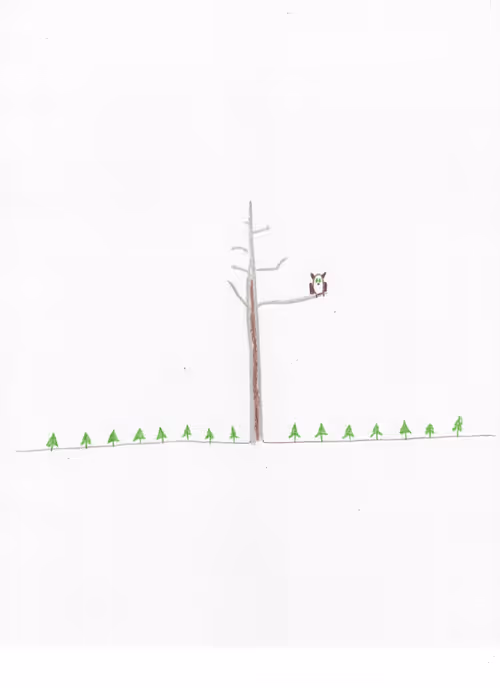 Item #23218060550821745609800623272602319113326301581644647180881602203126830465025 Media