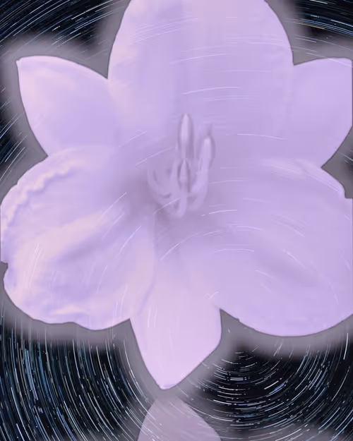 Item #12729754568501072855489201789855253348138096552071129580041228597063078379530 Media