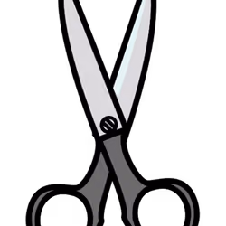 Scissors ID 12