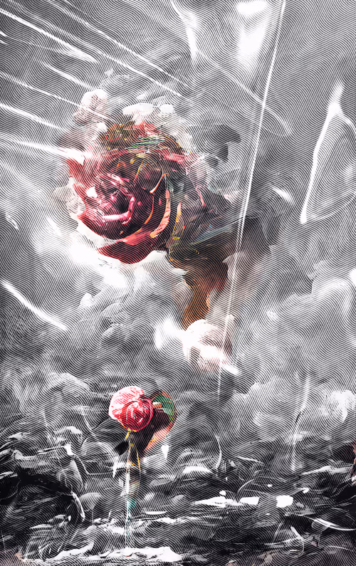 Item #42367618231883927936453209883715491979459183035932962465636822238101369782273 Media