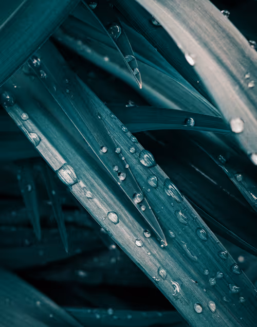 Item #103066555971611021134149055345018438449666255846358212838134356828994083487745 Media