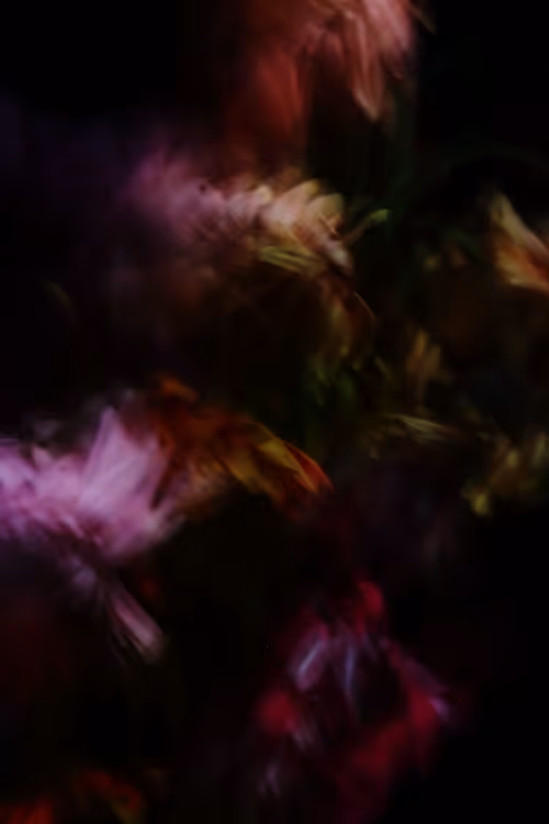 Item #72472512111903635261581493148510241947925598408403311949772894601311311364097 Media