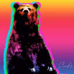 HYPER Bear