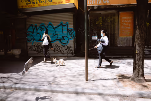 Item #33042120889451854685272695172442478807155240332106701713195592596950981017601 Media