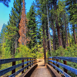 81502579898277150353033734927483914682173799916853565085596411689533249159169