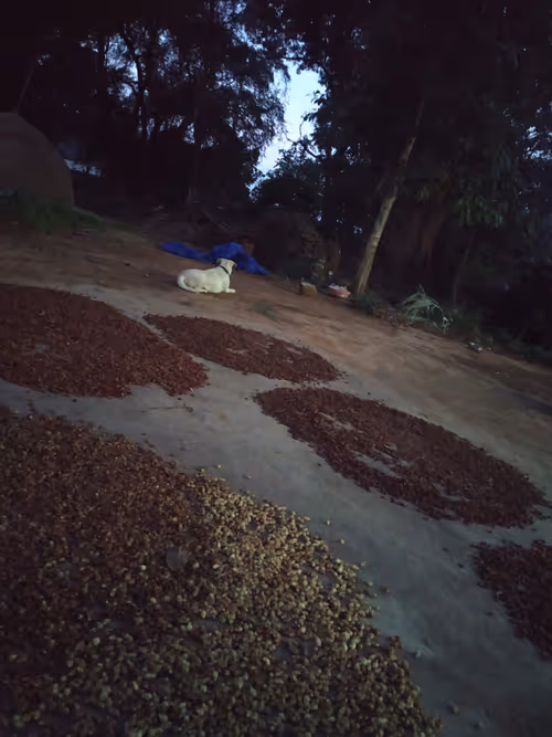 Item #19639212866637923491266492743518133241899401162345393254248405559449376260097 Media