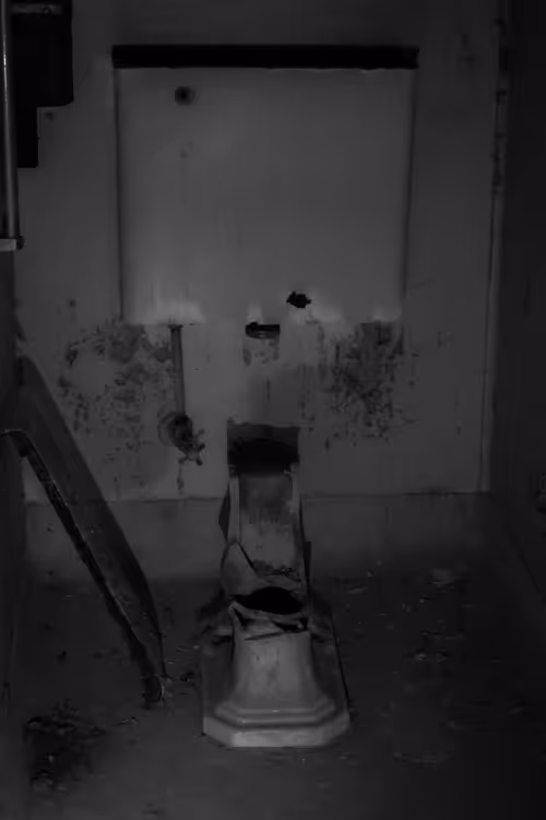 Item #82183435787039742687817407369025087190302189840279601090903984549545864331265 Media