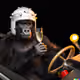 95560929656620222463680363209073245917778991963760186210087673655540152532993