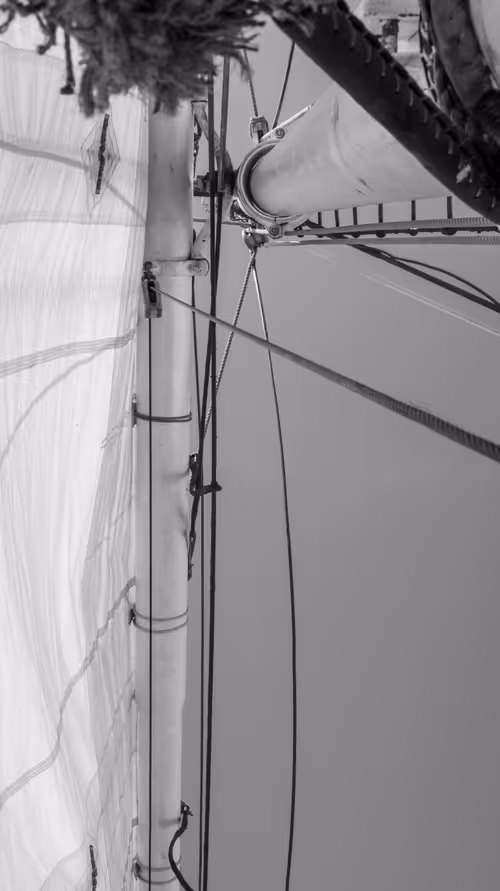 Item #34110083671509346653453586160941404072216291014688644284046702250444210569217 Media