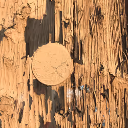 46958899024090373232398737463413705293185688555081041498722300356107735924737