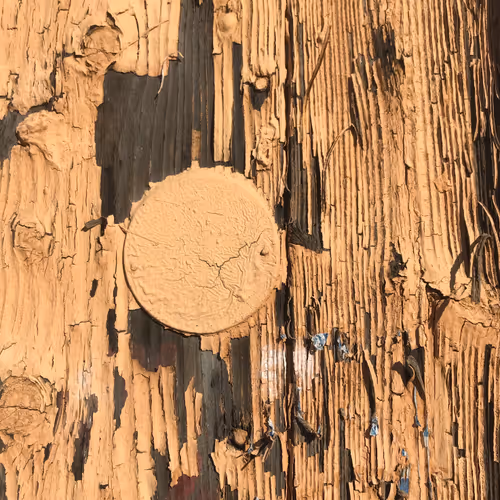 Item #46958899024090373232398737463413705293185688555081041498722300356107735924737 Media