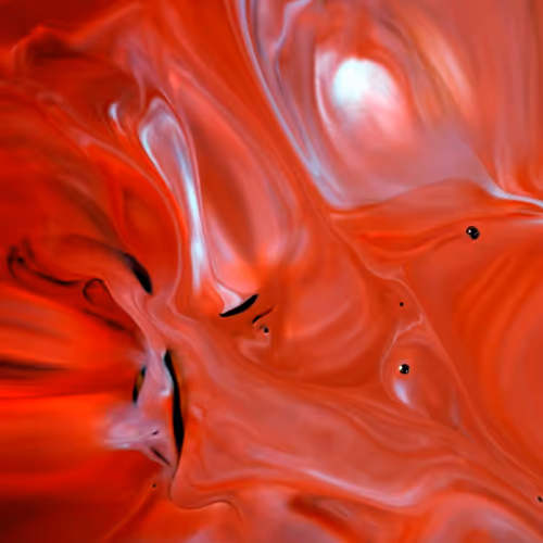 24074810528421772514233601070827590066402087809941770395158209007706771030017