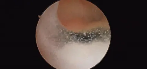 Item #24956333727314601939583140656280832426414454120757961101380372878156948832257 Media