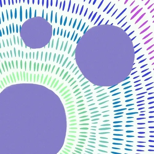 financeminor Collection