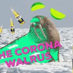 The Corona Walrus