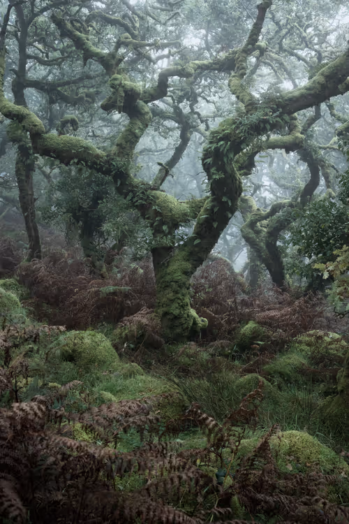 Item #72639390708267126639436568569652760193401123475841185469851730197180143632385 Media